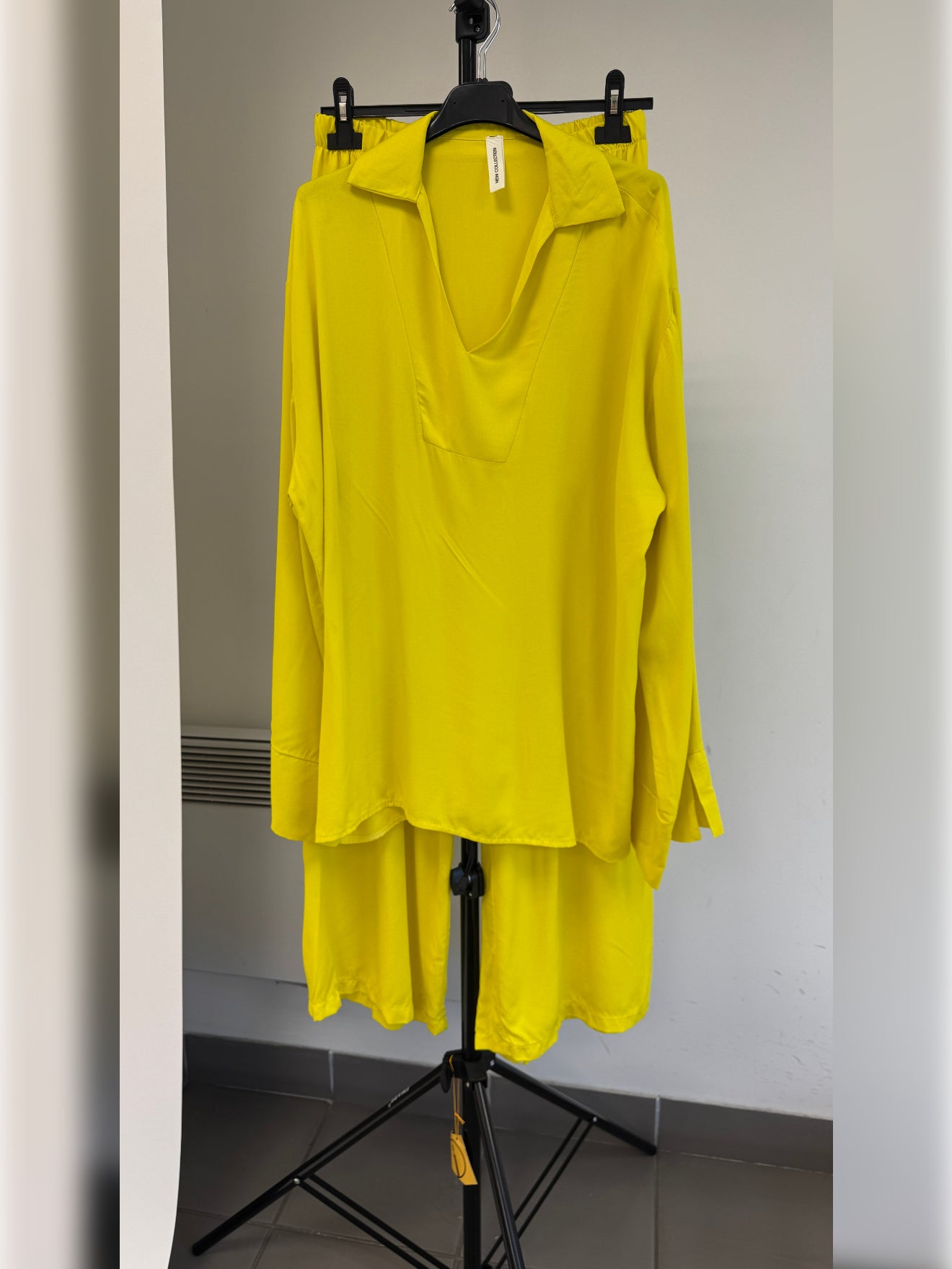 Ensemble AMIRA - P1